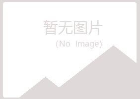 白银平川冰夏造纸有限公司